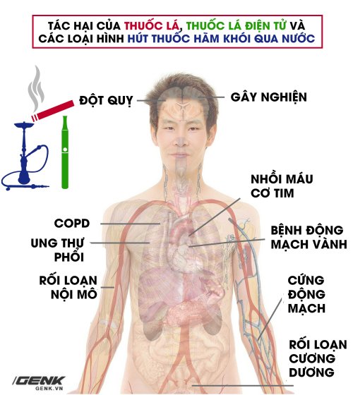 thuốc lá 2.jpg